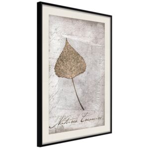 Bimago Dried Leaf - keretezett kép 40x60 cm Fekete keret paszpartu