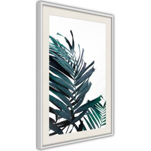 Bimago Evergreen Palm Leaves - keretezett kép 40x60 cm Fehér keret paszpartu