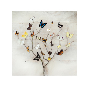 Ian Winstanley - Tree of Butterflies Festmény reprodukció, (40 x 40 cm)