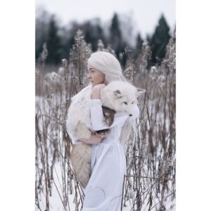 Exkluzív Művész Fotók Snow fox, Olga Barantseva