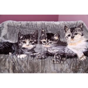 Szürke akril takaró macskákkal Szélesség: 160 cm | Hossz: 210 cm
