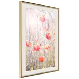 Bimago Poppies - keretezett kép 20x30 cm Arany keret paszpartu