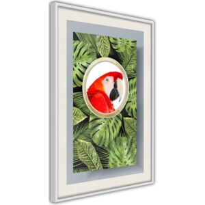 Bimago Parrot Says Hi - keretezett kép 40x60 cm Fehér keret paszpartu