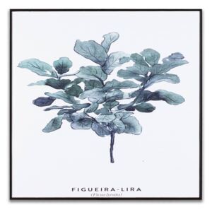 Falikép, növény, 30x30 cm, zöld - FIGUERA