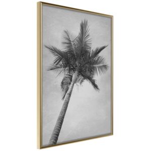 Bimago Memories from the Paradise - keretezett kép 40x60 cm Arany keret
