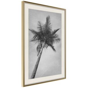 Bimago Memories from the Paradise - keretezett kép 20x30 cm Arany keret paszpartu