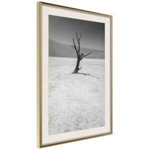 Bimago Survivor - keretezett kép 40x60 cm Arany keret paszpartu