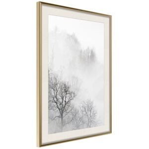 Bimago Zero Visibility - keretezett kép 40x60 cm Arany keret paszpartu