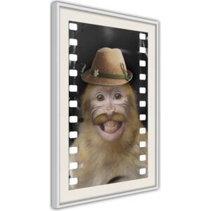 Bimago Dressed Up Monkey - keretezett kép 40x60 cm Fehér keret paszpartu