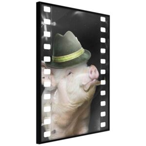 Bimago Dressed Up Piggy - keretezett kép 40x60 cm Fekete keret