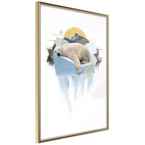 Bimago King of the Arctic - keretezett kép 30x45 cm Arany keret
