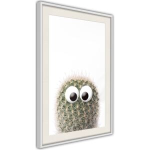 Bimago Funny Cactus II - keretezett kép 40x60 cm Fehér keret paszpartu