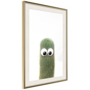 Bimago Funny Cactus IV - keretezett kép 20x30 cm Arany keret paszpartu