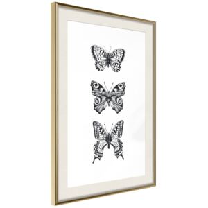 Bimago Butterfly Collection III - keretezett kép 30x45 cm Arany keret paszpartu