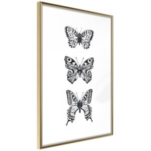 Bimago Butterfly Collection III - keretezett kép 20x30 cm Arany keret