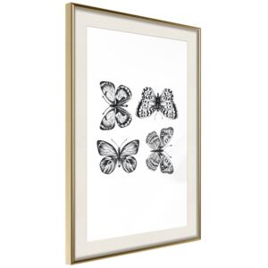 Bimago Butterfly Collection III - keretezett kép 40x60 cm Arany keret paszpartu