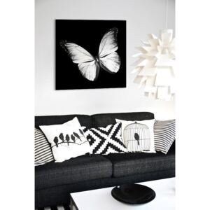 Tükor falikép Fehér Pillangó 3D Mirrora 22 - 50x50 cm (Képek)
