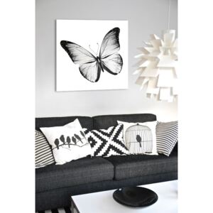 Tükor falikép Fehér Pillangó Mirrora 19 - 50x50 cm (Képek)