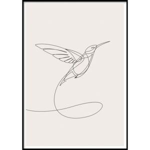 SKETCHLINE/HUMMINGBIRD keretezett fali kép, 40 x 50 cm
