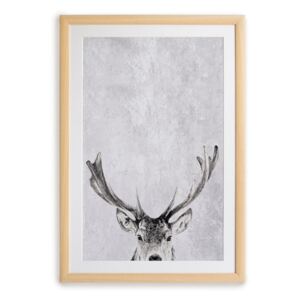 Deer keretezett falikép, 35 x 45 cm - Surdic