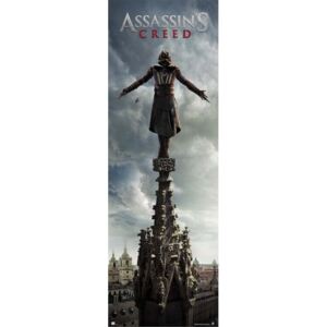 Assassin's Creed Plakát, (53 x 158 cm)