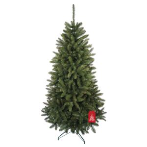 Karácsonyfa Kaukázusi lucfenyő 220 cm