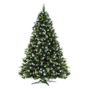 Karácsonyfa erdei fenyő 220 cm Exclusive