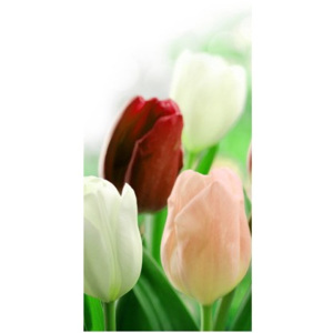 Nyomatos roletta Vörös tulipánok 68x150cm FR2181A_1MB
