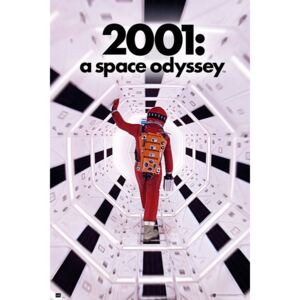 2001: A Space Odyssey Plakát, (61 x 91,5 cm)