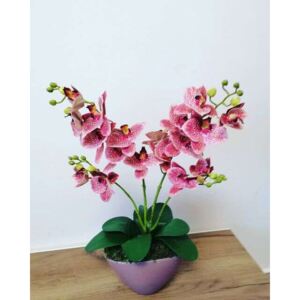 Orchidea dekor különleges színben