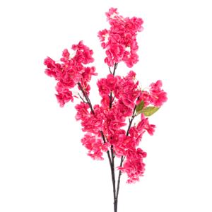 Japán cseresznyevirág pink
