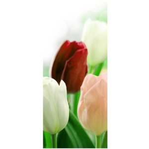 Nyomatos roletta Vörös tulipánok 57x150cm FR2181A_1LZ