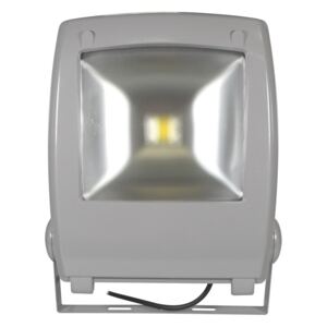 APLED LED Reflektor FLOOD FE-N LED/50W/230V IP65 AP0071