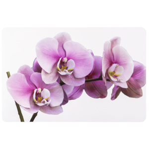 Koopman Orchidea alátétek 28 x 43 cm, 4 db-os szett