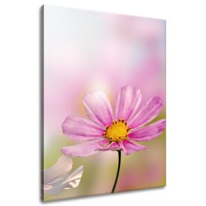 Gario Vászonkép Gyengéd virágok Méretek (sz x m): 60 x 75 cm