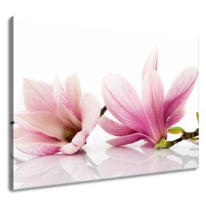 Gario Vászonkép Rózsaszín magnóliák Méretek (sz x m): 100 x 70 cm