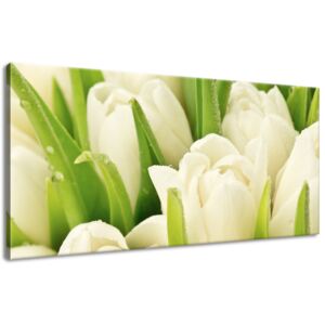Gario Vászonkép Gyengéd tulipánok Méretek (sz x m): 115 x 55 cm