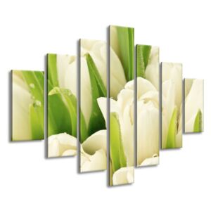Gario Vászonkép Gyengéd tulipánok Méretek (sz x m): 210 x 150 cm