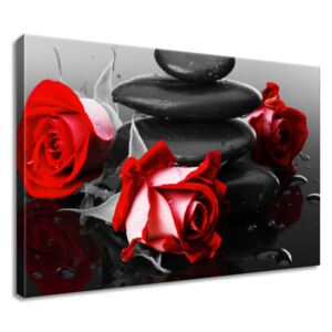 Gario Vászonkép Roses and spa Méretek (sz x m): 60 x 40 cm