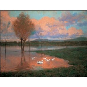 Floodplain - Flooded Land Festmény reprodukció, Alberto Zardo, (80 x 60 cm)