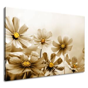 Gario Vászonkép Virágos szépség Méretek (sz x m): 100 x 70 cm