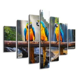 Gario Vászonkép Színes papagájok Méretek (sz x m): 210 x 150 cm
