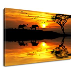 Gario Vászonkép Afrika Méretek (sz x m): 60 x 40 cm