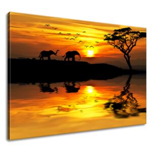 Gario Vászonkép Afrika Méretek (sz x m): 100 x 70 cm