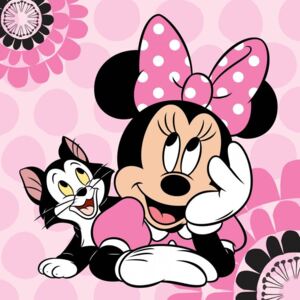 Disney Minnie mágikus törölköző kéztörlő cica