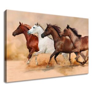 Gario Vászonkép Gyönyörű lovak állománya Méretek (sz x m): 60 x 40 cm