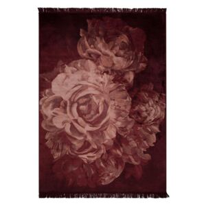 Stitchy roses szőnyeg 170x240