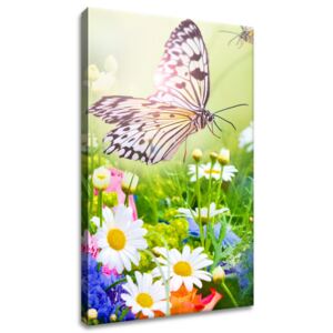 Gario Vászonkép Pillangók és virágok a gyönyörű kertben Méretek (sz x m): 70 x 100 cm