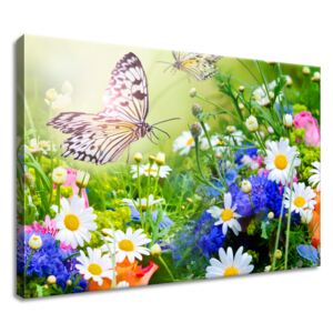 Gario Vászonkép Pillangók és virágok a gyönyörű kertben Méretek (sz x m): 60 x 40 cm
