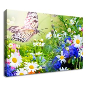 Gario Vászonkép Pillangók és virágok a gyönyörű kertben Méretek (sz x m): 60 x 50 cm
